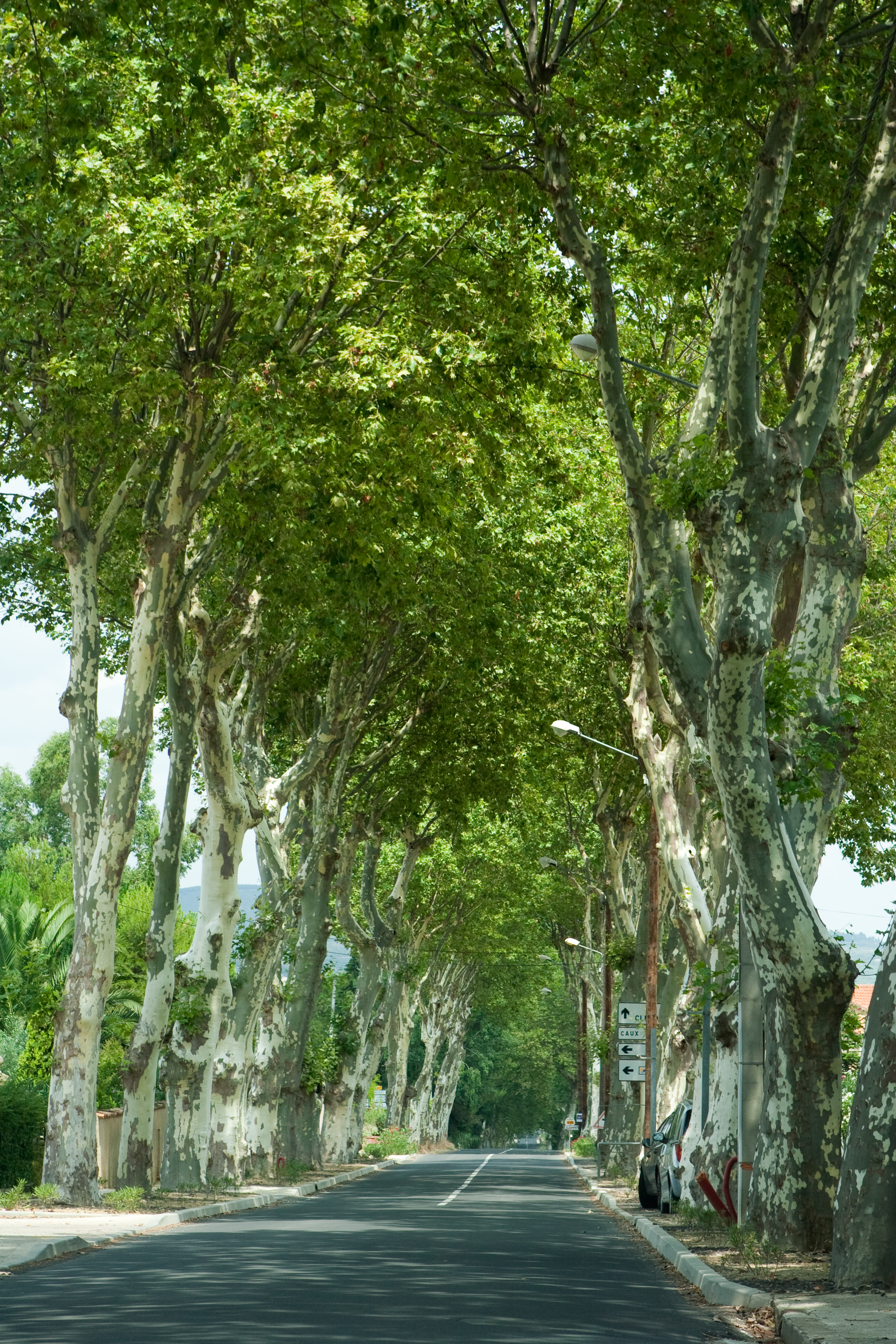 vakantie 2009 ontdekkingsreis-015.jpg